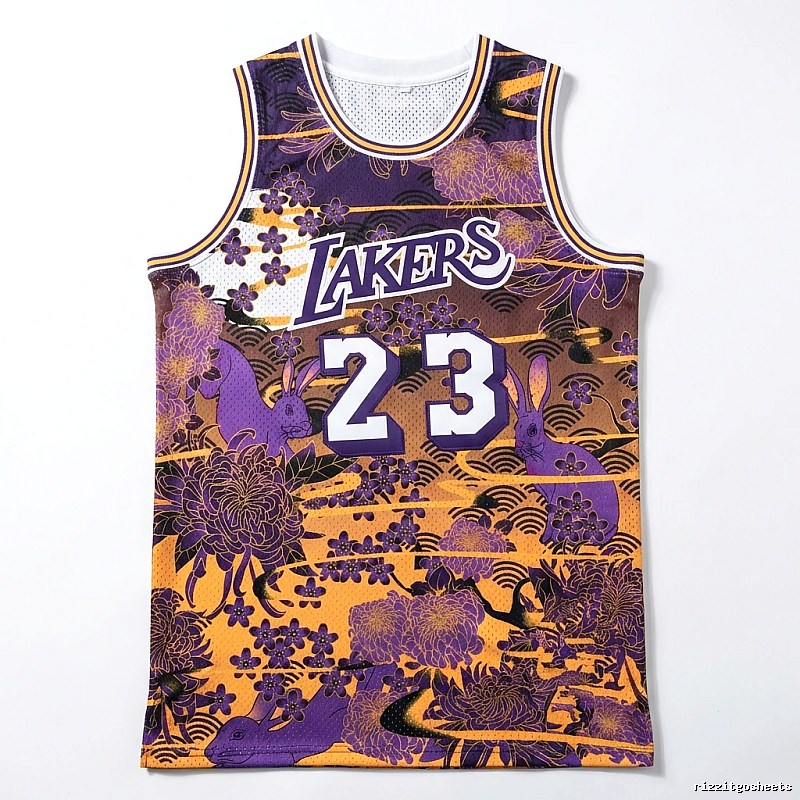 LBJ retro purple-orange basketball uniform