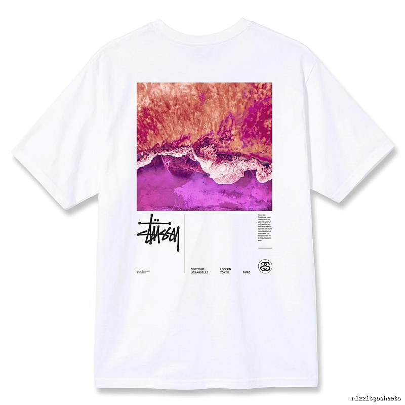 Stussy wave - printed white T - shirt